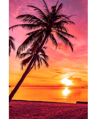 Tahitian Sunset Tahitian Sunset