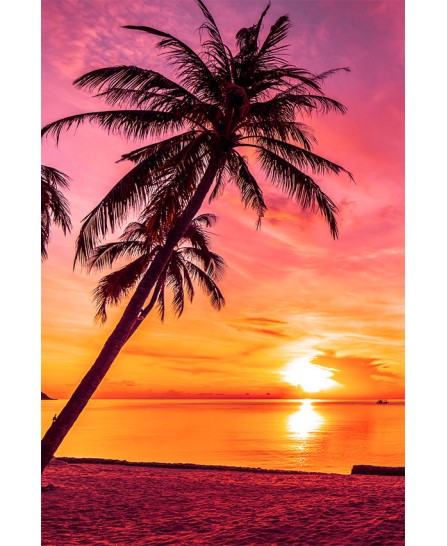 Tahitian Sunset Tahitian Sunset