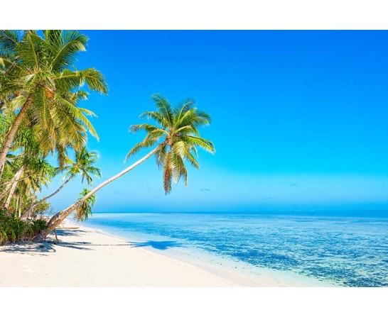 Maldives Beach Maldives Beach