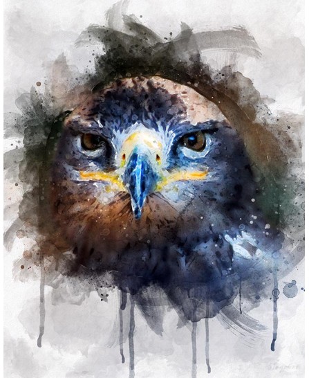 Brown gray owl - watercolor painting