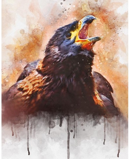 Pasăre vultur - pictură în acuarelă Pasăre vultur - pictură în acuarelă