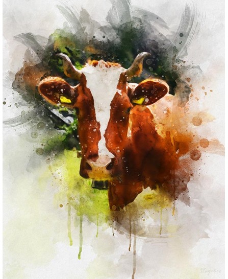 Cow - watercolor painting Cow - watercolor painting