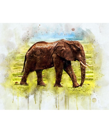 Elephant in the Savannah - watercolor painting Elephant in the Savannah - watercolor painting