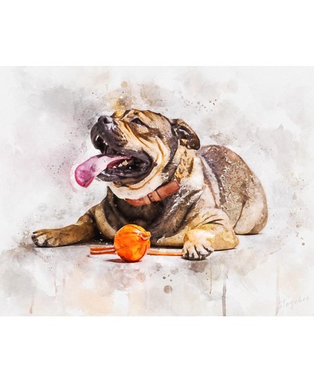 Bulldog francez - pictură în acuarelă Bulldog francez - pictură în acuarelă
