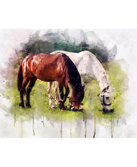 Grazing horses - watercolor painting Grazing horses - watercolor painting