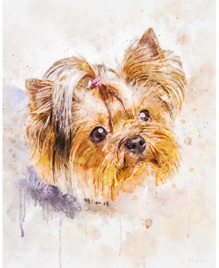 Yorkshire Terrier - pictură în acuarelă Yorkshire Terrier - pictură în acuarelă