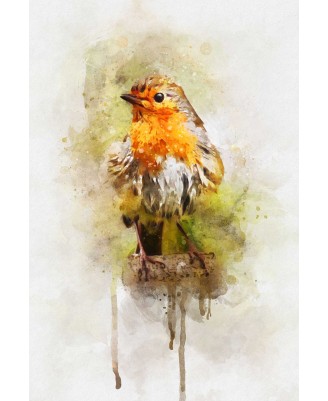 Watercolor Paintings Watercolor Paintings
