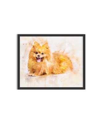 Pomeranian dog - watercolor painting Pomeranian dog - watercolor painting