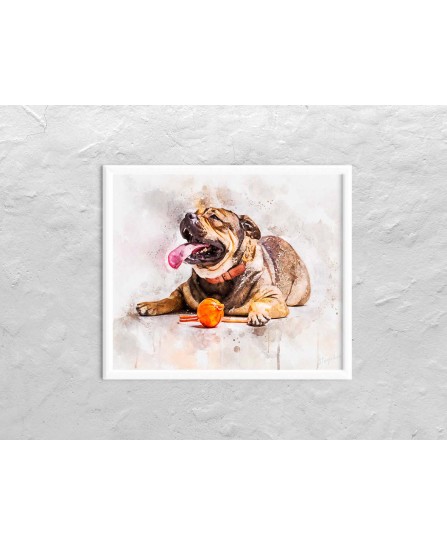 Bulldog francez - pictură în acuarelă Bulldog francez - pictură în acuarelă