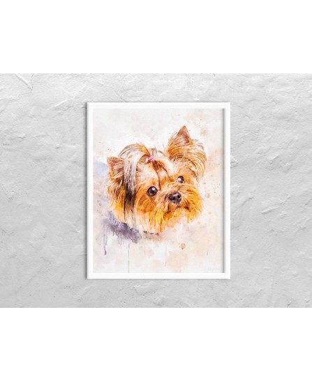 Yorkshire Terrier - pictură în acuarelă Yorkshire Terrier - pictură în acuarelă