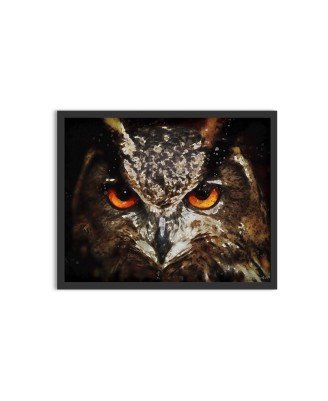The eyes of an owl - watercolor painting The eyes of an owl - watercolor painting