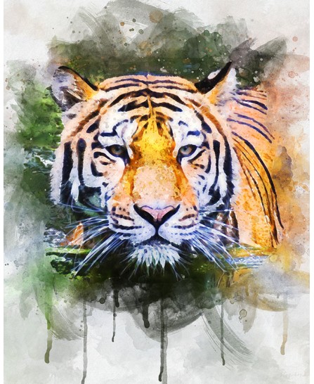 Тiger - watercolor painting