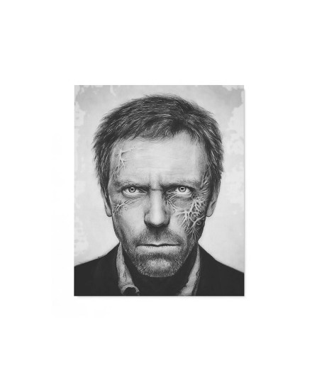 House M.D. - canvas print