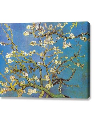 Van Gogh - Almond Blossom (high contrast) - canvas print