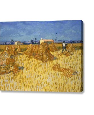Van Gogh - Corn Harvest Provence 1888 (canvas print) Van Gogh - Corn Harvest Provence 1888 (canvas print)