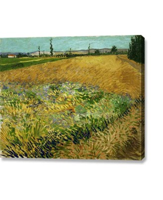 Van Gogh - Wheatfield (canvas print) Van Gogh - Wheatfield (canvas print)
