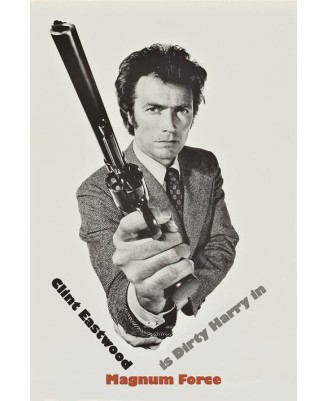 Dirty Harry (Magnum Force)