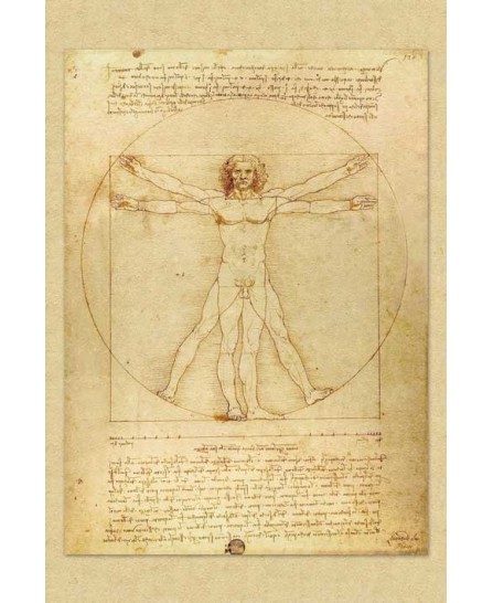 Leonardo Da Vinchi - Vetruvian Man