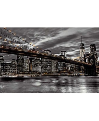 Assaf Frank - New York