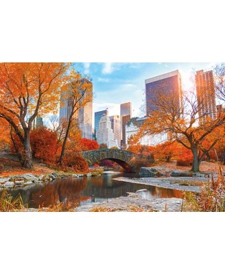NY - Central Park Autumn NY - Central Park Autumn