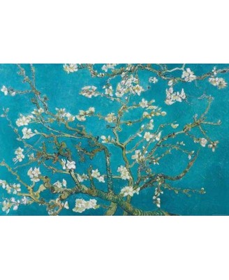 Vincent van Gogh - Almond Blossom (San Ramy 1890)