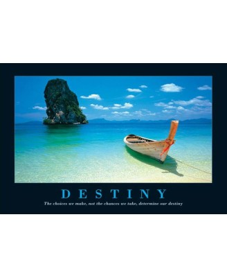 Motivational Poster - Destiny