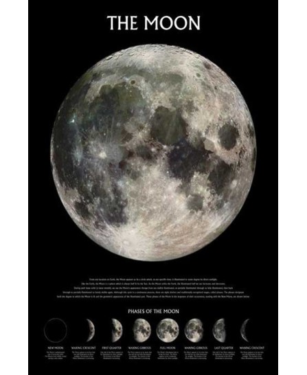 The Moon (Phases) The Moon (Phases)