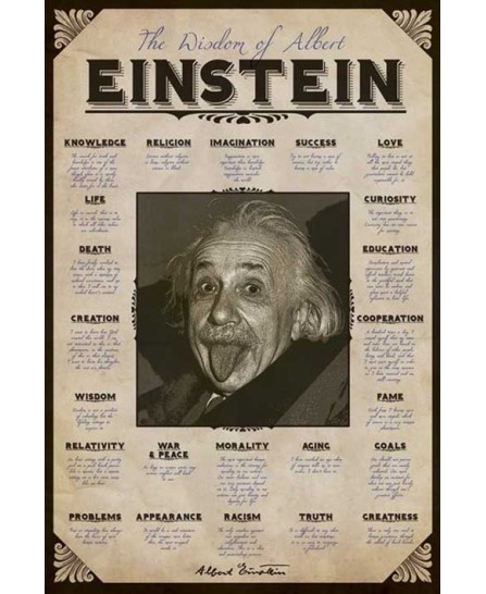 Albert Einstein (Quotes) Albert Einstein (Quotes)