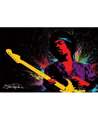 Jimi Hendrix (Paint) Jimi Hendrix (Paint)