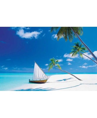 Paradise Found