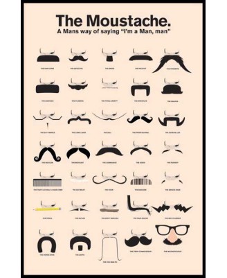 The Moustache