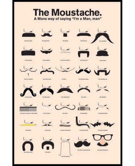 The Moustache