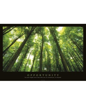 Motivational Poster - Opportunity