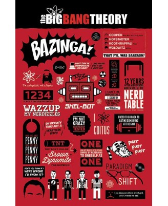 The Big Bang Theory (инфографика)