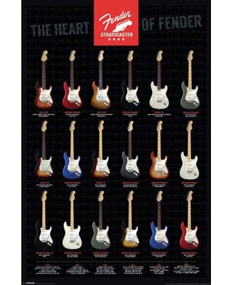 Guitar Fender (Stratocaster, the Heart of Fender)