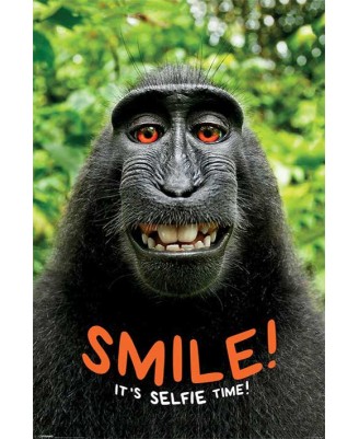 It's Selfie Time (Monkey) It's Selfie Time (Monkey)