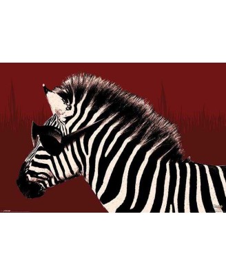 Troy The Zebra (It's A Wildlife) Troy The Zebra (It's A Wildlife)
