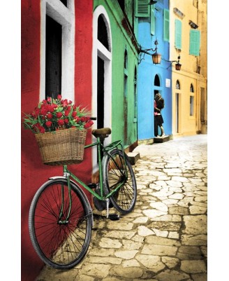 Bike & Flowers Colorful Bike & Flowers Colorful