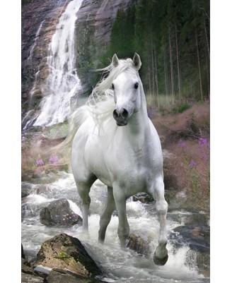 White Horse White Horse