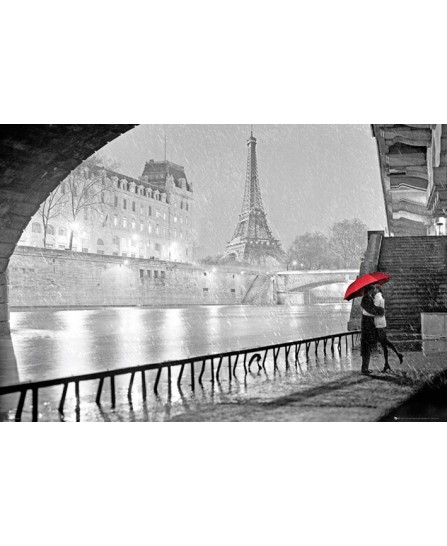 Paris - Notre Dame Kiss Paris - Notre Dame Kiss