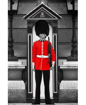 London - Royal Guard
