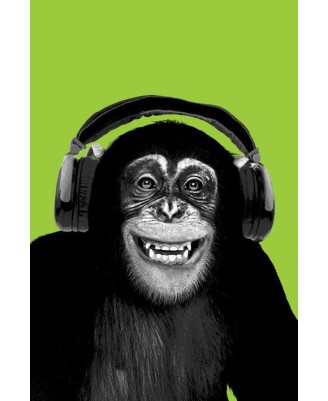 Chimpanzee Headphones Chimpanzee Headphones