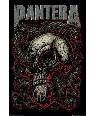 Pantera (Snake Eye) Pantera (Snake Eye)