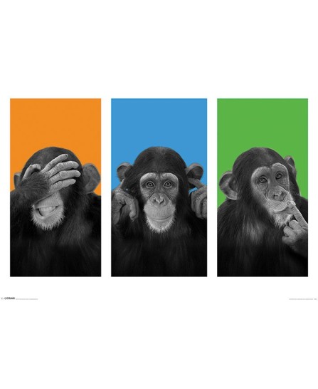 Wildside (See No Evil, Hear No Evil, Speak No Evil)