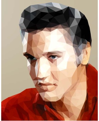 Elvis Presley (polygonal) - 40х50cm Elvis Presley (polygonal) - 40х50cm