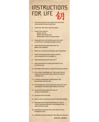 Dalai Lama - Instructions for Life (slim) Dalai Lama - Instructions for Life (slim)
