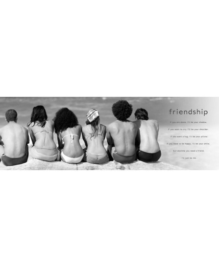 FRIENDSHIP (slim)